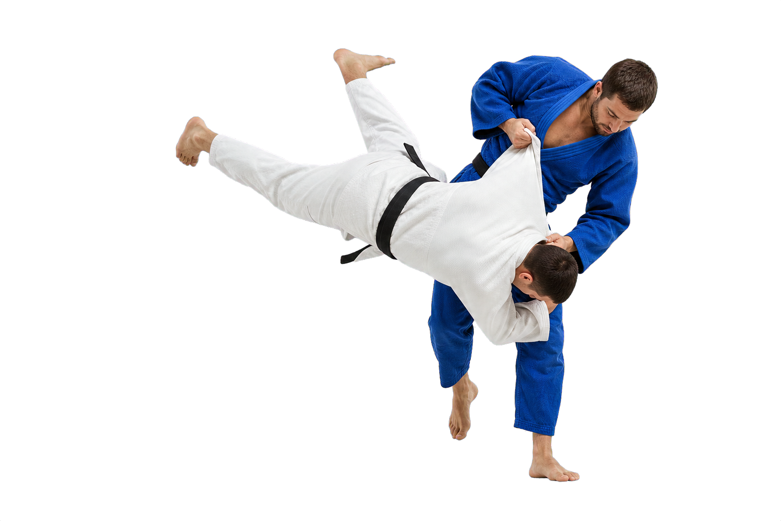 Judo met